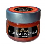 DOVGAN Wild Lachs Caviar Malosol